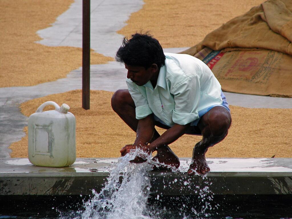 Study On Washing Rice Before Cooking Sparks Science And Health Debate