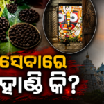 ଅଣସରର ଦ୍ୱାଦଶ ଦିନରେ ସୁସ୍ଥତା ଆଡ଼କୁ ବଢ଼ୁଛନ୍ତି ଶ୍ରୀଜିଉ